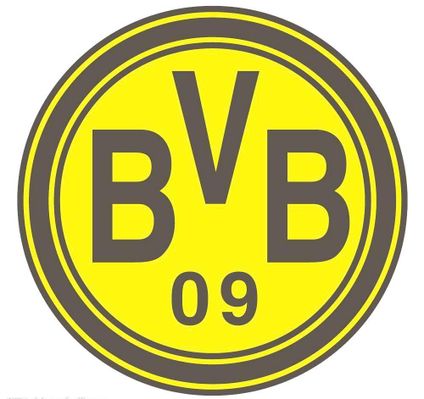 比赛的表现 比赛的表现