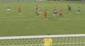 但经验不足 但经验不足